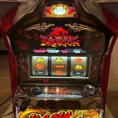 パイオニア ツインドラゴンハナハナ-30 中古パチスロ実機 ホーム