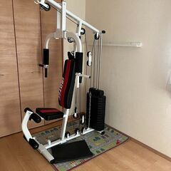 マルチホームジム150V2 /IROTEC（アイロテック） /ウエイトMAX150