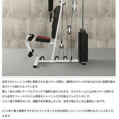 iROTECマルチホームジム150V2ウエイトMAX150ポンド引取近県配送限定 アイロテック ホームジム マルチホームジム150V2 ウエイトMAX150ポンド