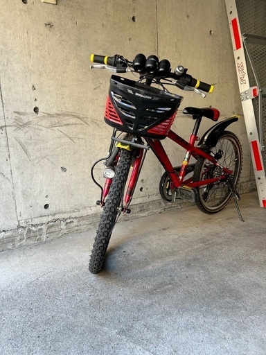 RAY URBAN（アーバン）折りたたみ マウンテンバイク 管理NO.20220103-14