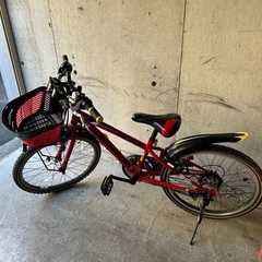 ブリヂストン　22インチ