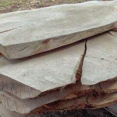 一枚板ナラ（約300cm×50cm×5cm／3年乾燥）1枚から