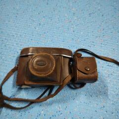 ヤワエンドリ（ナイジェリア便）値下げしました‼️ (まーくん) 蘇原の  