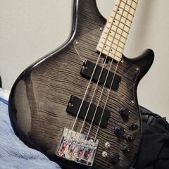 フジゲン EDR-4R FUJIGEN ベース