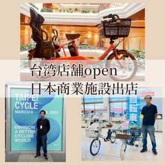 DS 電動自転車