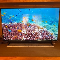 4k対応　マクスゼン　50型液晶テレビ　地デジチューナー内蔵　高画質　省エネ　ゲームモニター　
