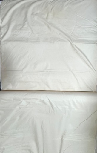 岩盤浴マット シュアラインα パルティール 【定価12万】 パルティール