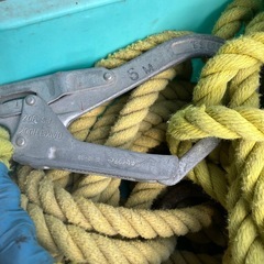 親綱-AMANDA CIRCULAR SKIRT