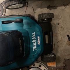 80784528_2