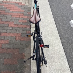 🚴ビアンキ　カメレオンテ1
