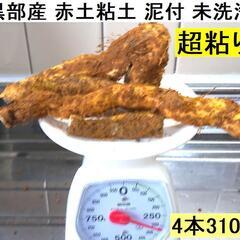 自然薯の中古が安い！激安で譲ります・無料であげます(2ページ目  
