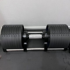 Bodytech ダンベル 2個セット 4kg刻み32kg