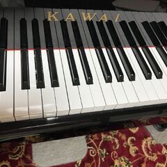 2011年オーダーメイドパール マスターズMCXシェール 総額約400,000円