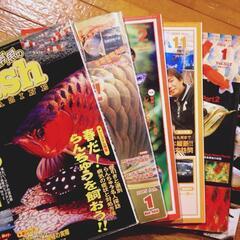 モンスターフィッシュキーパーズ・アロワニア等　熱帯魚の本