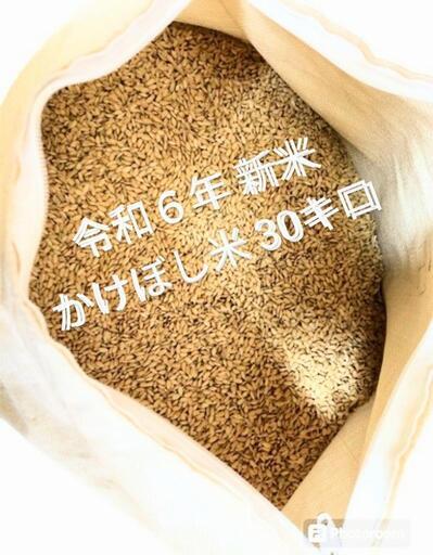 新米 ヒノヒカリ1俵①