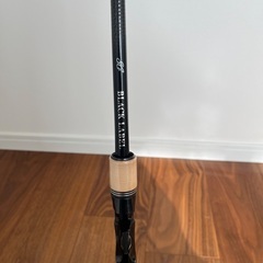 ダイワ　BLX SG 671MHFB-FR