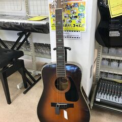 12弦ギター モリス MB-305-12