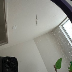 はらぺこあおむし＋4つ(透明版あり)組み立てベビーサークル