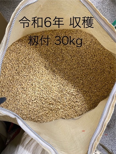 令和6年収穫? 籾つき1俵(30kg) ③ 精米ご希望の方は問い合わせください 