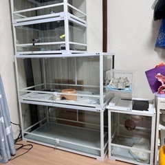 （説明文必読）REPTIWILD飼育ケース各種　検爬虫類、両生類、小動物、ケージ