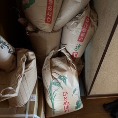 令和6年新米ひとめほれ