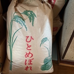 令和6年新米ひとめほれ