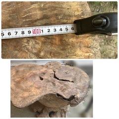 熊本 杉無垢 机 椅子 セット 無垢テーブル 無垢イス 天然木 切株 木製 