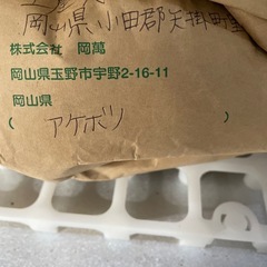 ORION スマートディスプレイ SAFH321 32V型 2022 Fe192 - 液晶テレビ 