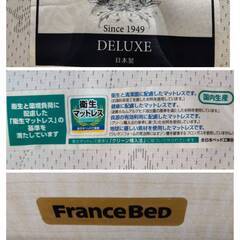 【愛品倶楽部柏店】フランスベッド 収納付きダブルベッド  LT-310 ハード かため 高密度連続スプリング