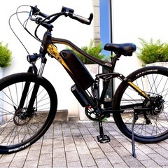 片倉シルク 2枚肩 ピストフレーム 傷あり 凹みなし (yukon) 西小山の  