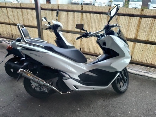 HONDA   ＰＣX
