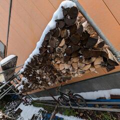 白樺、ニワウルシの薪３立米くらい 白樺、ニワウルシの薪3立米くらい