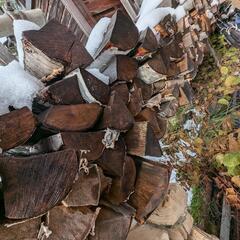 白樺、ニワウルシの薪３立米くらい