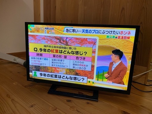 2020年製LED液晶テレビ 24型 東芝REGZA