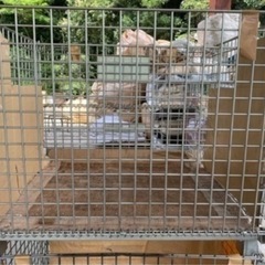 メッシュパレット2個セット