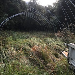 交渉中　　　
ビニールハウスのアーチパイプ