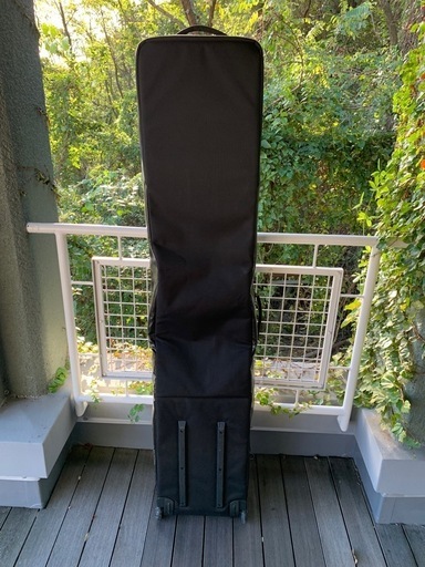 patagonia ブラックホール　スノーローラー 希少・廃盤】パタゴニア ブラックホール スノー ローラー patagonia