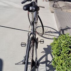 TREKクロスバイク中古