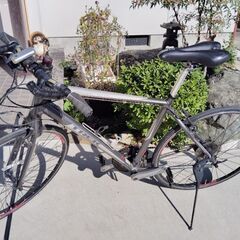 TREKクロスバイク中古