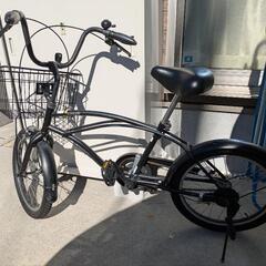 品番SNST20 スナッパー ショート SNST20 ビーチクルーザー送料込み 楽天市場】((年末＆初売り☆ポイント5倍_12/27から))【エリア限定