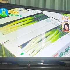 パナソニック 55V型 液晶テレビ ビエラ TH-P55GT3 