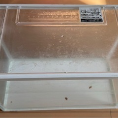 ナンバーカバー クリアグリーンセイワ当時物 公道使用禁止 (だる飯  