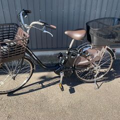 cro-1781 クロコダイル 腕時計ベルト グレー ラグ幅19mm cro-1781 クロコダイル 腕時計ベルト グレー ラグ幅19mm