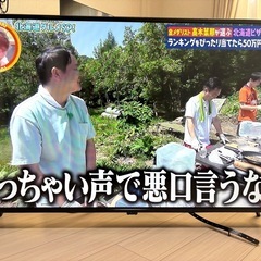 受渡し決定)50型テレビ