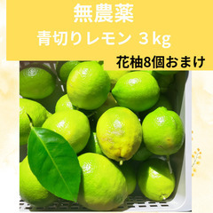 オーガニックすだち5kg（値下げOK） オーガニックすだち5kg（値下げOK）