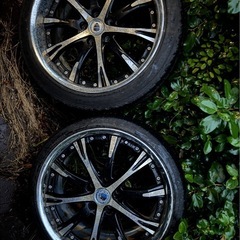 サウンドロップ　キバットバット３世「たまには美人ちゃんを紹介しろよー」 サウンドロップキバットバット3世「たまには美人ちゃんを紹介