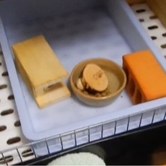 イージーホーム80ローメッシュ　休息マット二組付き