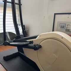 ダイヤコ製クロストレーナー