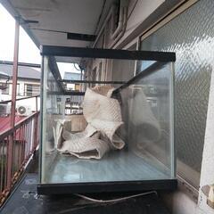 水槽、ろ過装置、ライト