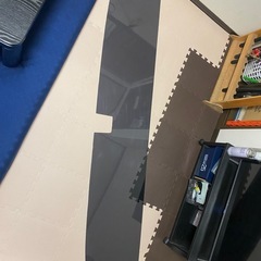 17プロフィアフロントスクリーン